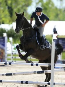 English Riding: 10 Must-Know Types for Every Equestrian 🐴
