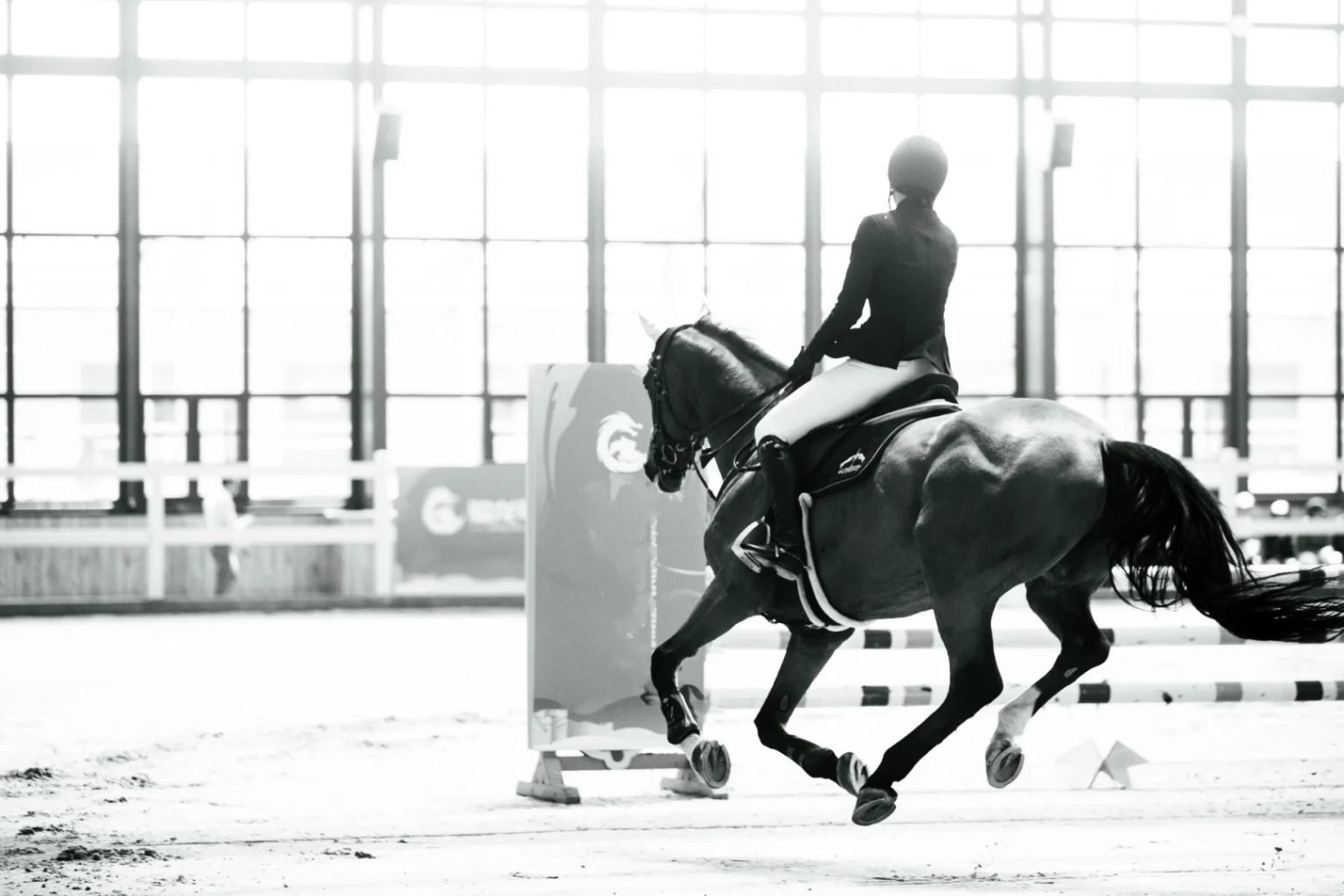 English Riding: 10 Must-Know Types for Every Equestrian 🐴