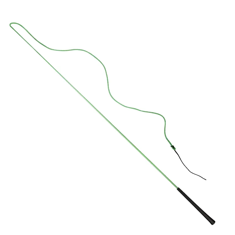 English Training Long Whip - Image 3