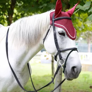 Premium English Leather Bridle