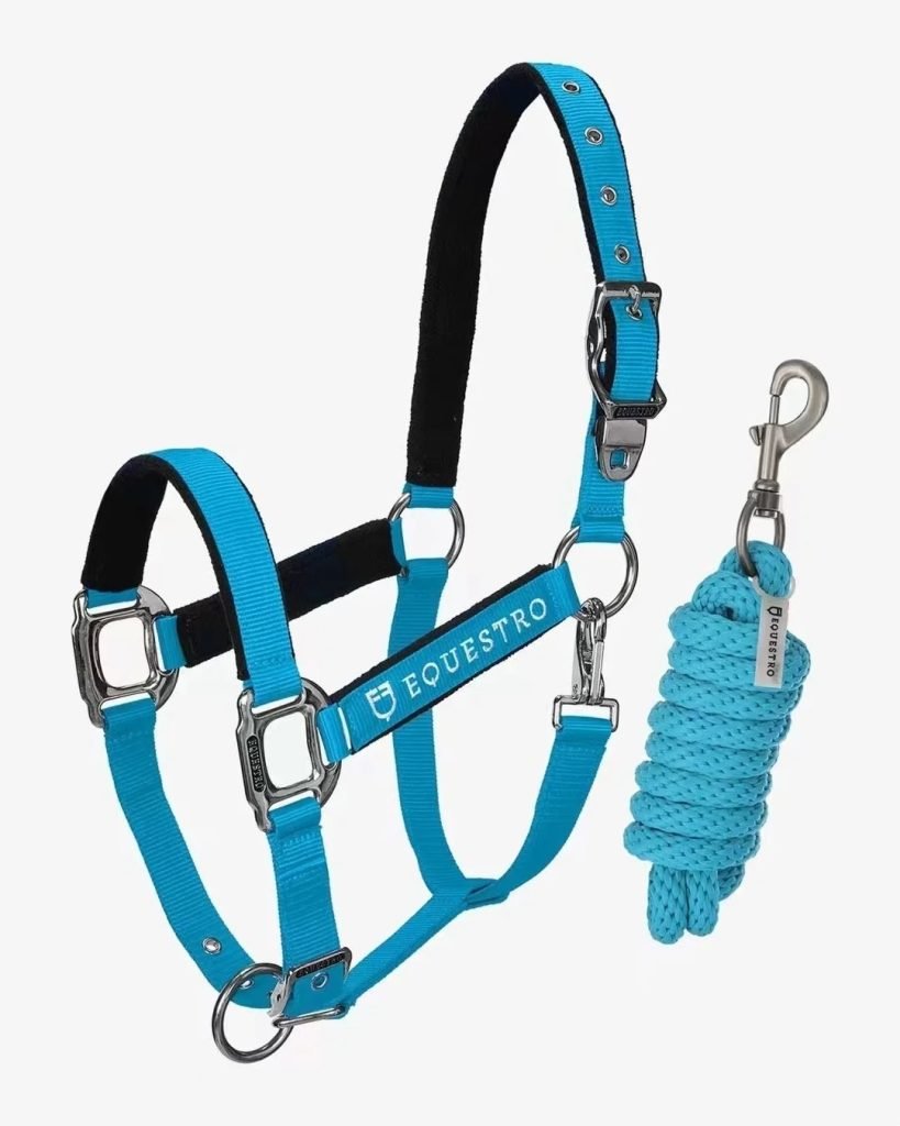 Western Horse Bridles